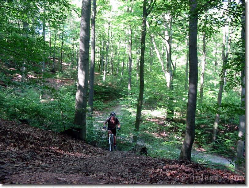 IMG_7534 Climbing again right below Schreisheim.  I re-pioneered this trail back in 97 as I hated riding the fricking road down and then back up again.  Since then horseriders use it and it's been sanitized extensively.