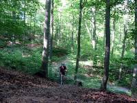 IMG_7534 Climbing again right below Schreisheim.  I re-pioneered this trail back in 97 as I hated riding the fricking road down and then back up again.  Since then horseriders use it and it's been sanitized extensively.